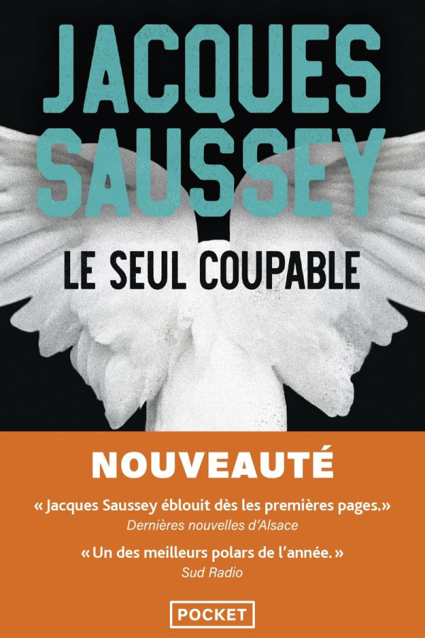 Le seul coupable Pocket